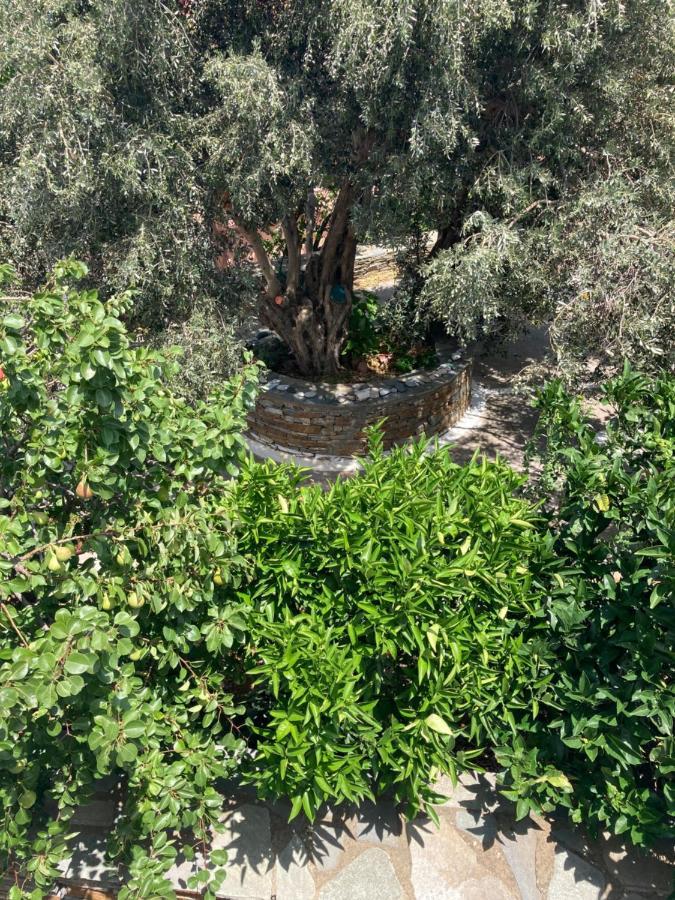 Agkyra Rooms Aladhinon المظهر الخارجي الصورة